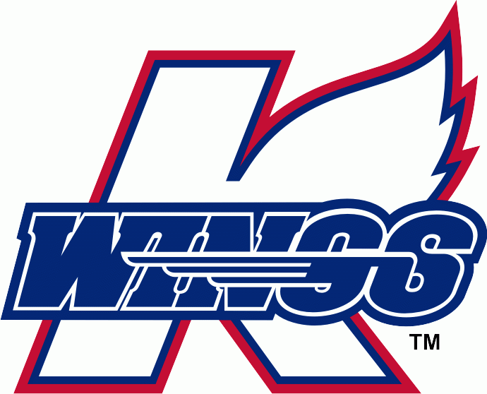 Kalamazoo Wings 2009 10-Pres Primary Logo iron on paper